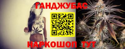 дмт Аргун