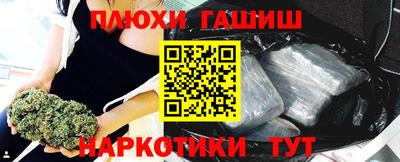 дмт Аргун