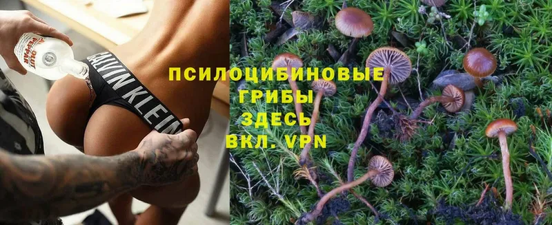 Галлюциногенные грибы Magic Shrooms  Апшеронск 