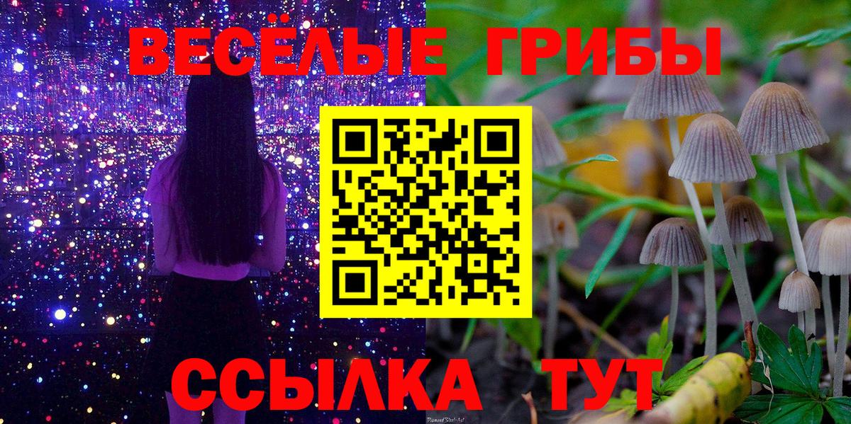 Галлюциногенные грибы мухоморы  что такое   Апшеронск  Галлюциногенные грибы мухоморы  Вход с VPN 